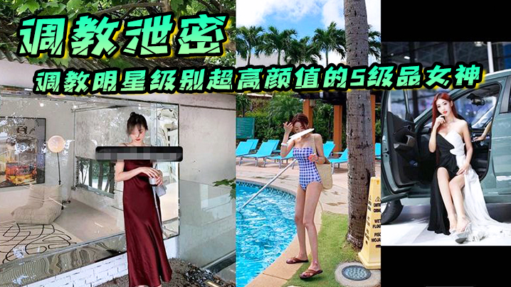 【调教泄密】调教明星级别超高颜值的S级品女神，个个都是顶级尤物 海报