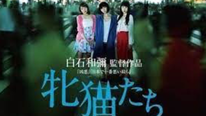 【日本】母猫 (2017) 海报