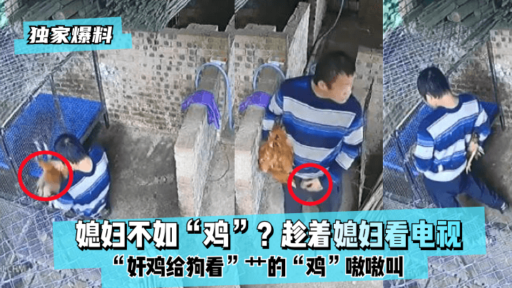 【独家爆料】媳妇不如“鸡”？趁着媳妇看电视“奸鸡给狗看”艹的“鸡”嗷嗷叫！ 海报