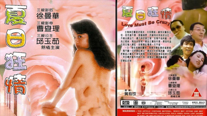 【香港】夏日狂情(1992) 海报