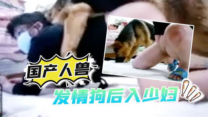 【国产人兽】发情狗后入少妇还自拍视频 海报