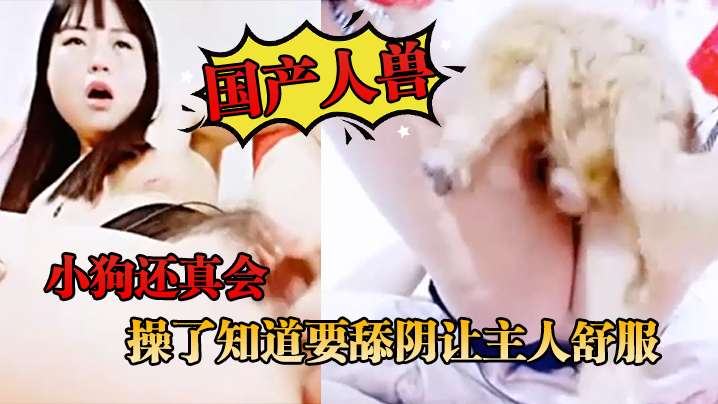 【国产人兽】小狗还真会 操了知道要舔阴让主人舒服 海报