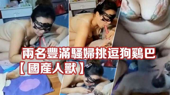 【国产人兽】两名丰满骚妇挑逗狗鸡巴满足自己私欲 海报