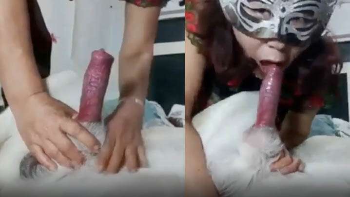 【国产人兽】老女人 是“爱狗人士” 看到大鸡巴受不了 海报