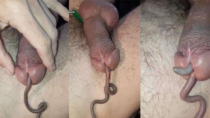 【蚯蚓钻马眼】恶趣味癖好 海报