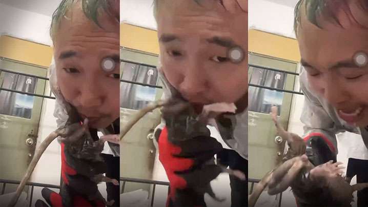 【劲爆！给老鼠口交】什么奇葩性趣 海报