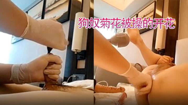 【狗奴舔姨妈巾】狗奴菊花被操的开花 海报
