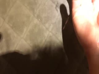 身材样貌一流的高颜值大学美女高级公寓被特别会玩的土豪男 海报