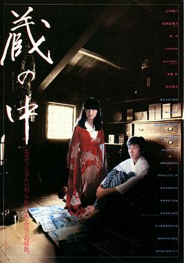 窥 海报