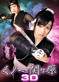 女忍关原 海报