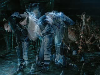 Skyrim Female Adventurer who i 海报