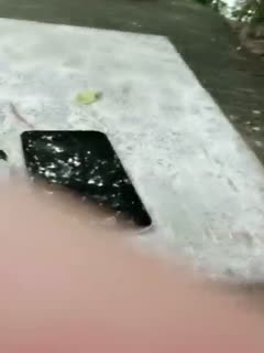 卡哇伊主播大绣自拍粉丝福利视频16 海报