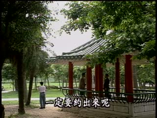 枪下新娘 海报