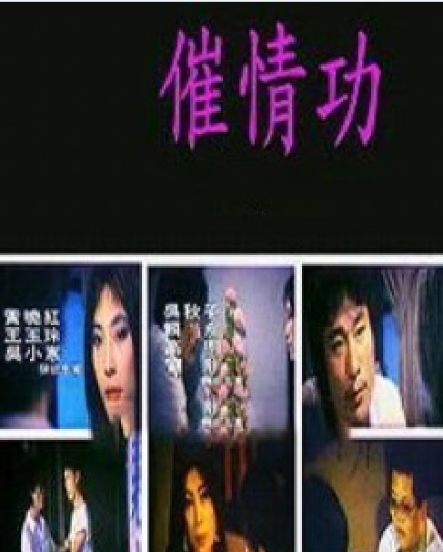 催情功【国语中字】 海报