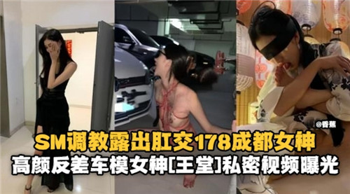 SM调教露出肛交178成都女神高颜反差车模女神私密视频曝光 海报