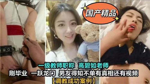 成功调教老师 海报