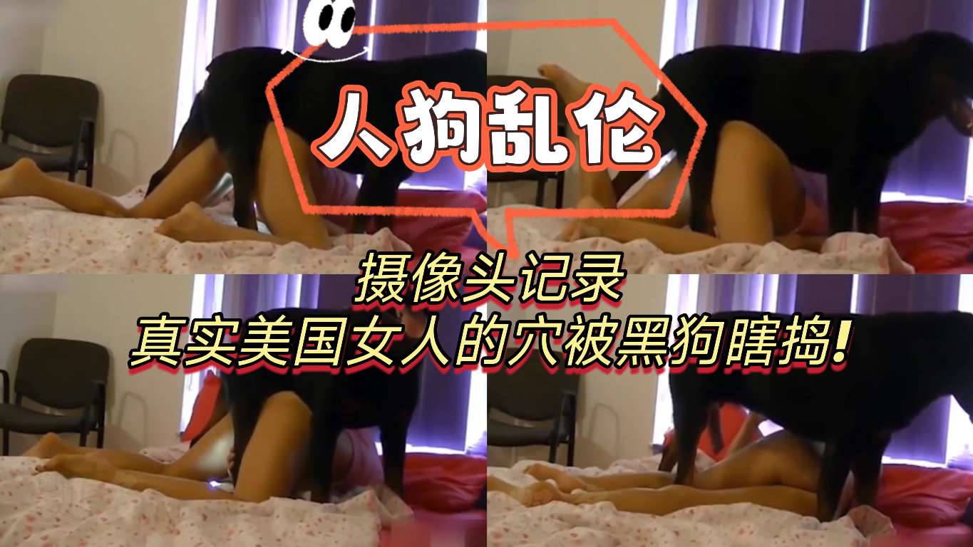 [人狗乱伦]摄像头记录真实美国女人的穴被黑狗瞎捣 海报