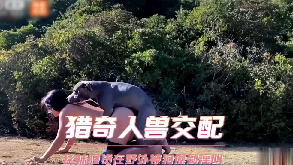 [人狗乱伦]猎奇人兽交配丝袜骚货在树林被狗操到尖叫 海报