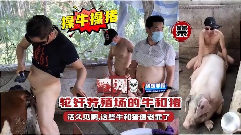 【暗网】操牛草猪轮奸养殖场的牛和猪活久见啊,这些牛和猪遭老罪了 海报