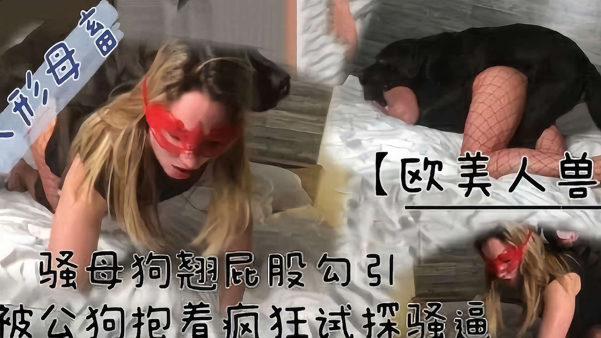 [人狗乱伦]骚母狗翘起屁股被公狗疯狂试探 海报