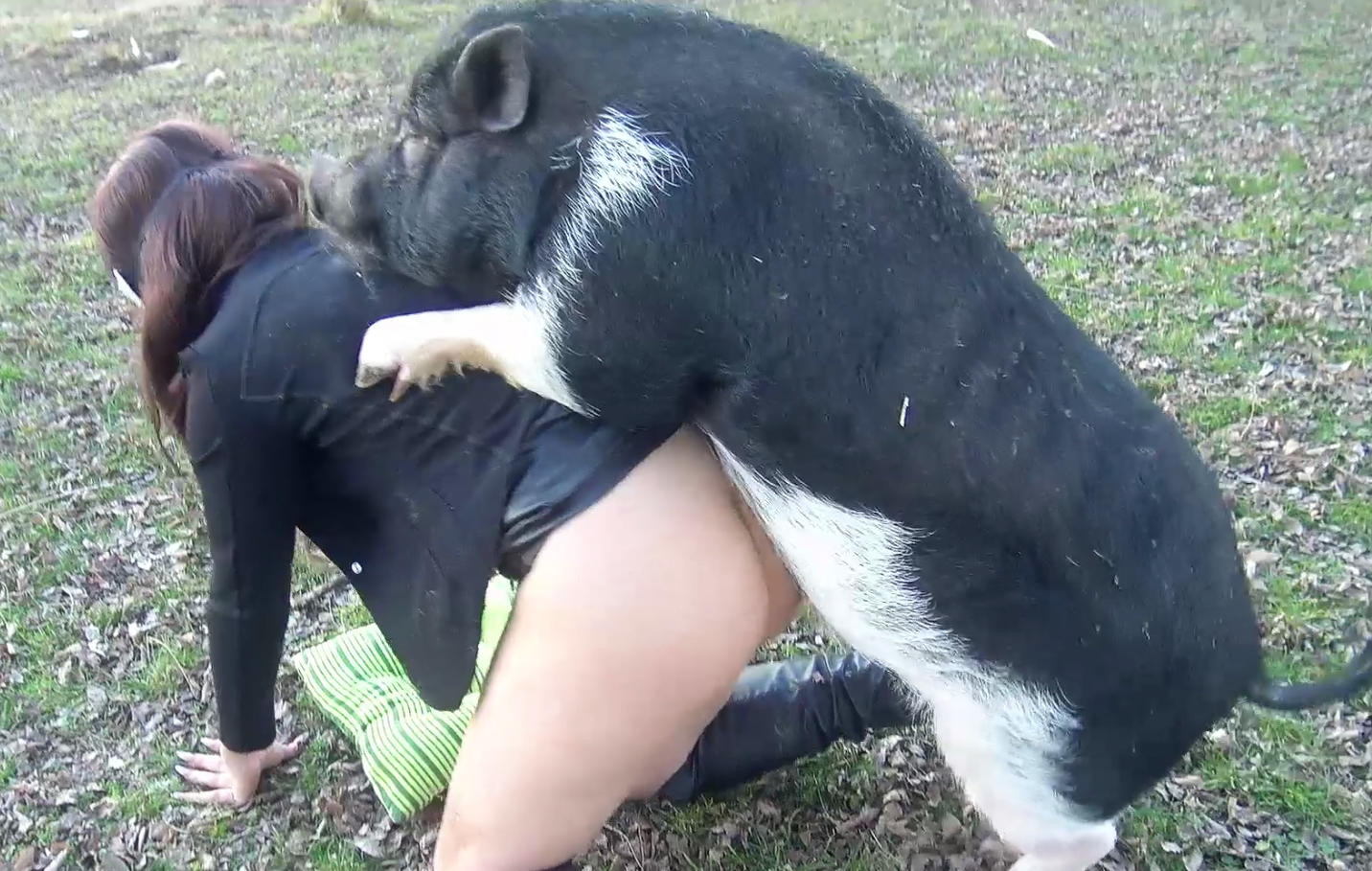黄金猎犬和它的女主人啪啪 海报