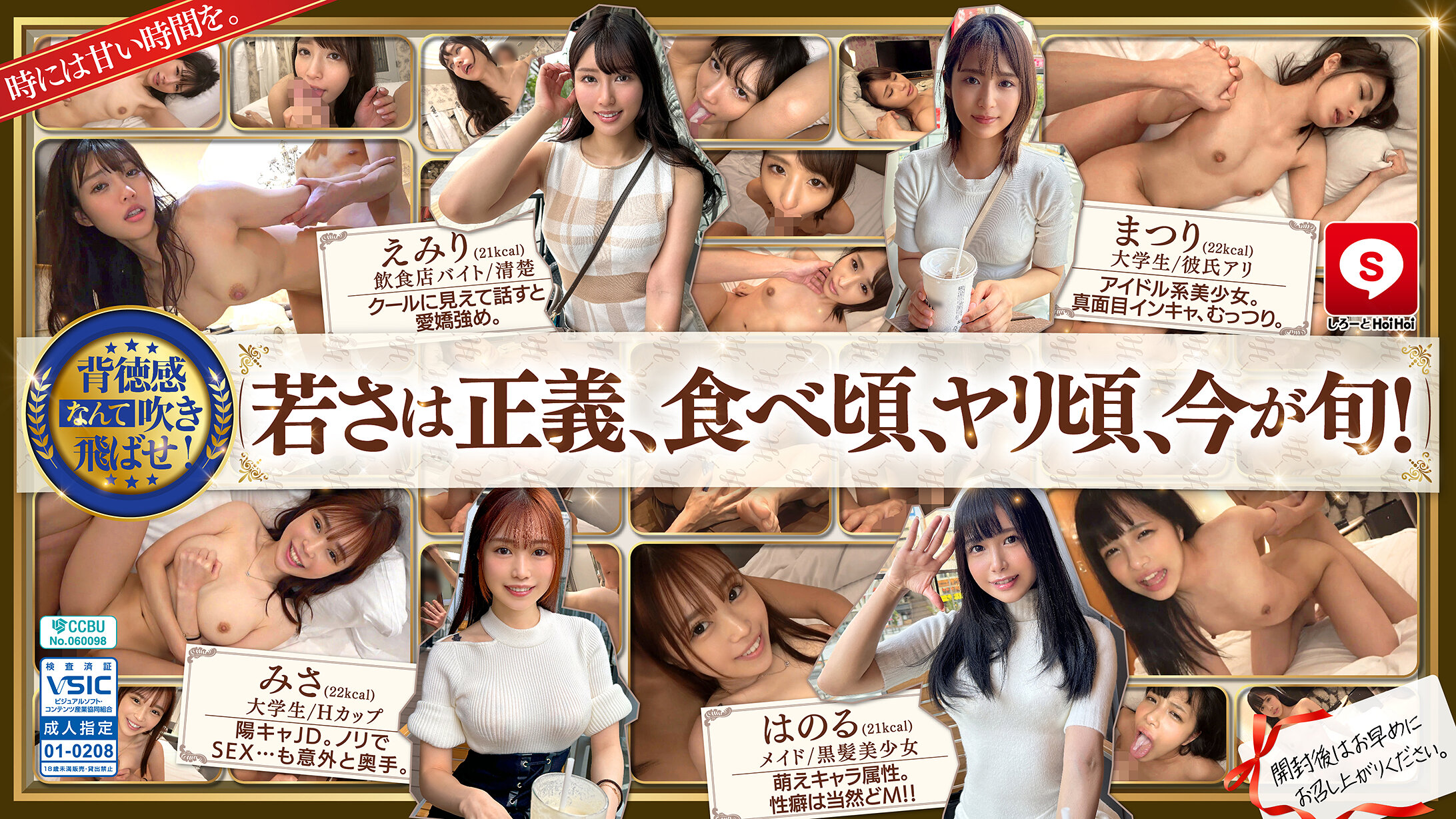 HOIZ162 诱人小可爱#14素人Z计划：交友软件约炮实录·情趣酒店一夜情私密拍摄！ 海报